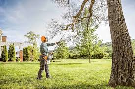 Best Pest Control for Lawns  in Dillsboro, IN